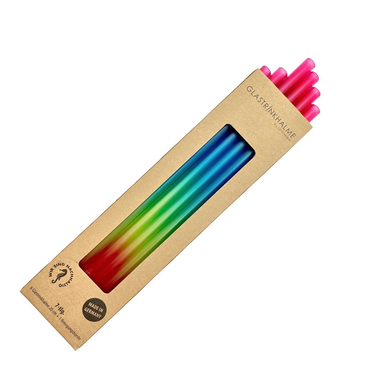 6 bunte (Regenbogenfarben) Glastrinkhalme (23 cm) + Reinigungsbürste