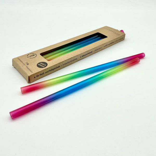 6 bunte (Regenbogenfarben) Glastrinkhalme (23 cm) + Reinigungsbürste