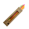 6 farblich sortierte (Neon, Klar) Glastrinkhalme "Neon-Weihnachten" mit Gravur (20 cm) "Sterne gerade" + Reinigungsbürste